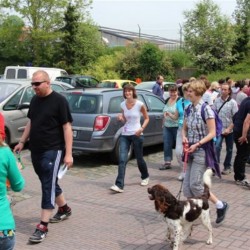 img 5068 - Sportraad Zaventem 